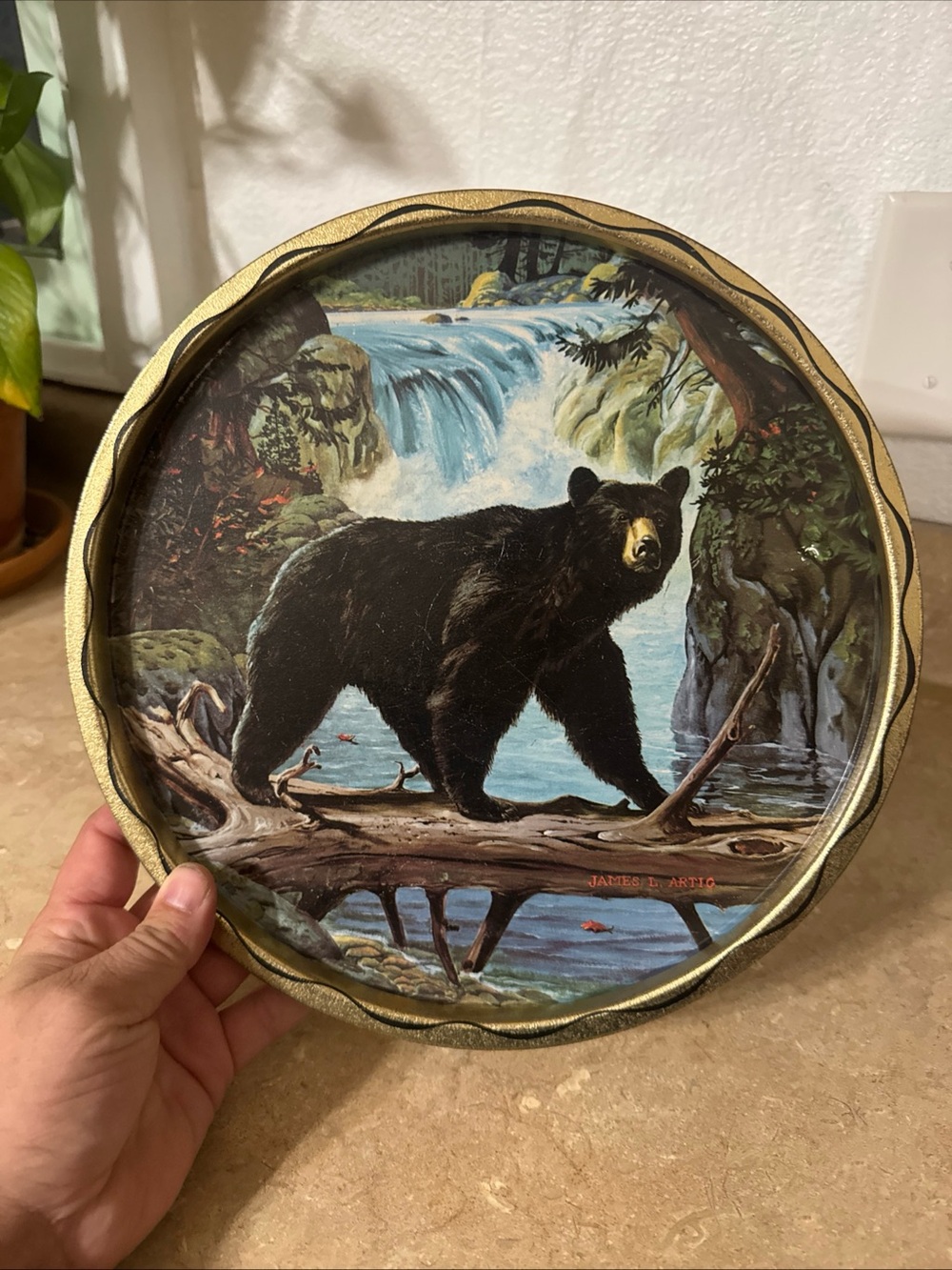 Vtg 1950s Black Bear Metal 11" Round Tray James Artig Wildlife of North  America